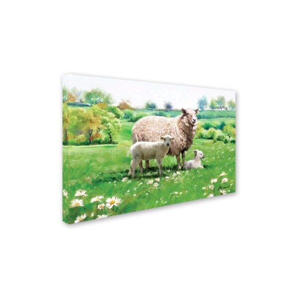 The Macneil Studio 'Sheep And Lamb' Canvas Art,22x32